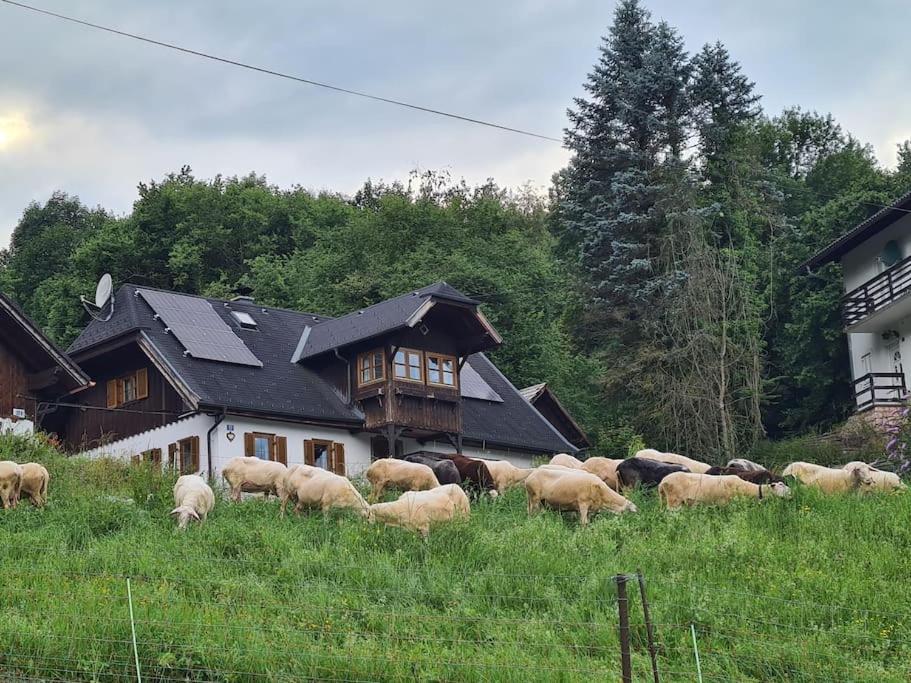 Ferienhaus Beringer Am Kallbach Traunkirchen Buitenkant foto